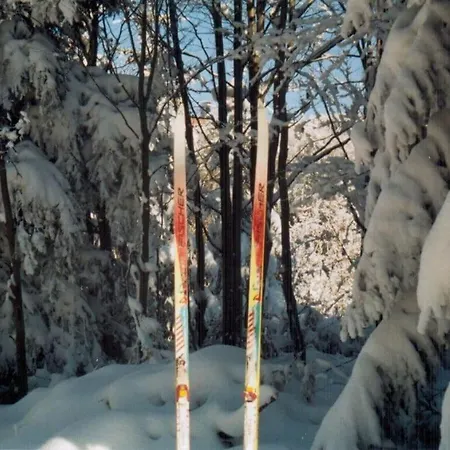 In * Waldmünchen